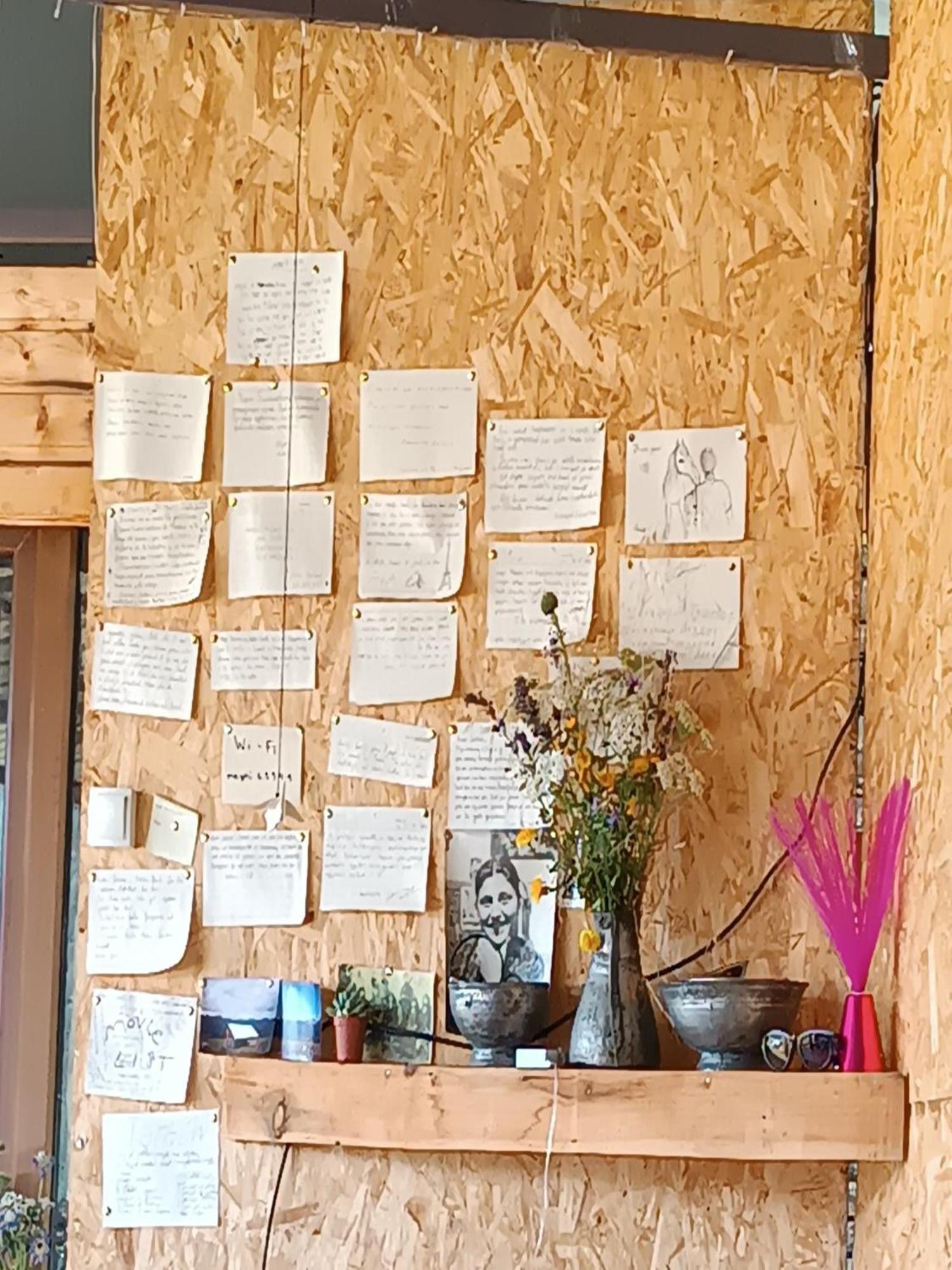 Nadiani Hostel Omalo 外观 照片